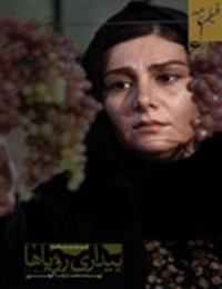 کتاب فیلمنامه بیداری رویاها