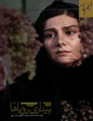 کتاب فیلمنامه بیداری رویاها